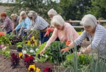 Gardening for Seniors: A Joyful Way to Stay Active and Healthy