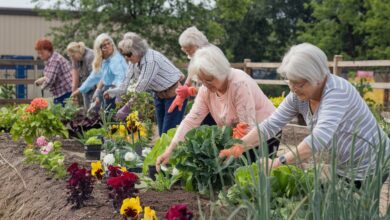 Gardening for Seniors: A Joyful Way to Stay Active and Healthy