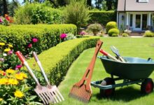 Yard Work Help for Seniors
